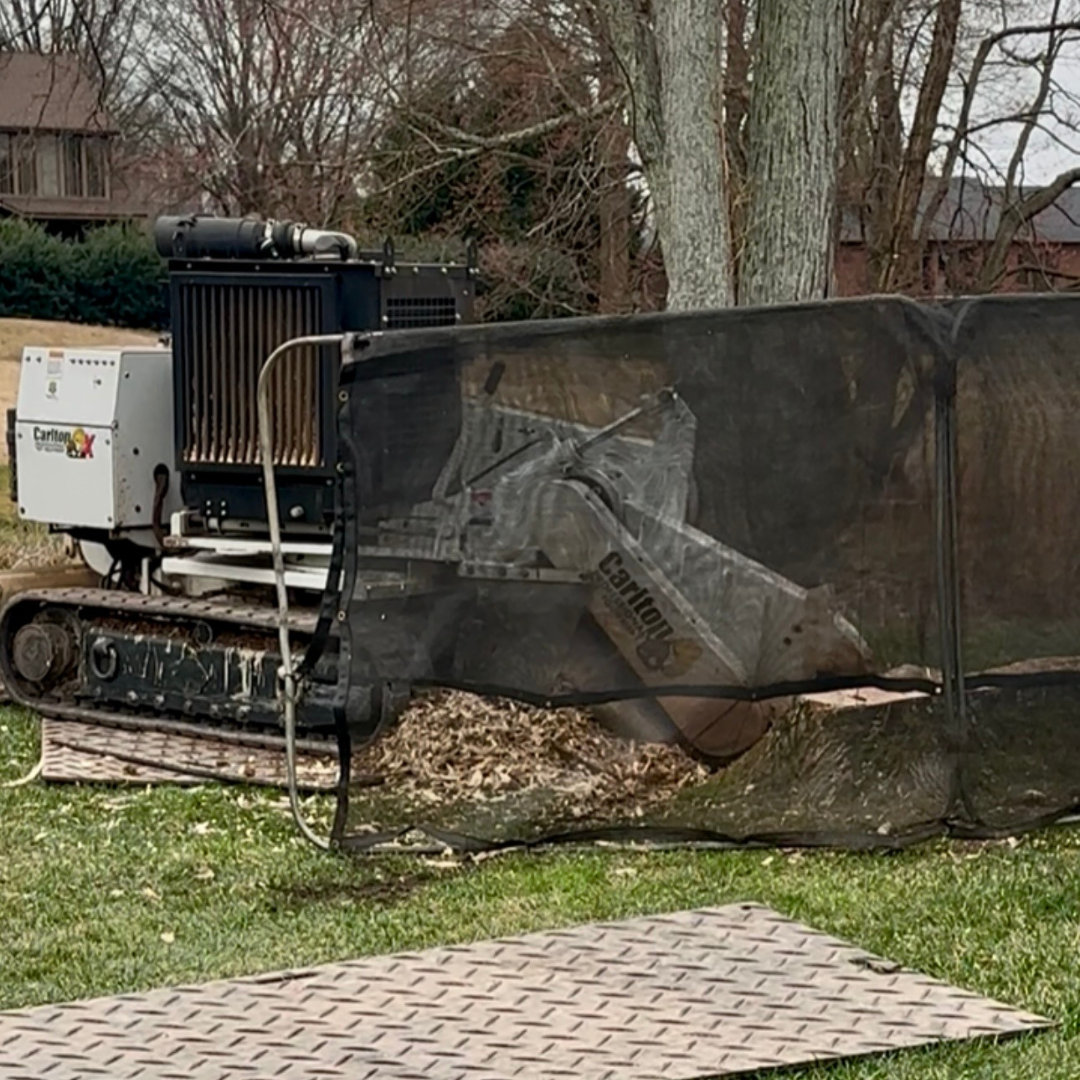 spencer's tree service team grinds mulch after tree removal at a home near lake norman, nc