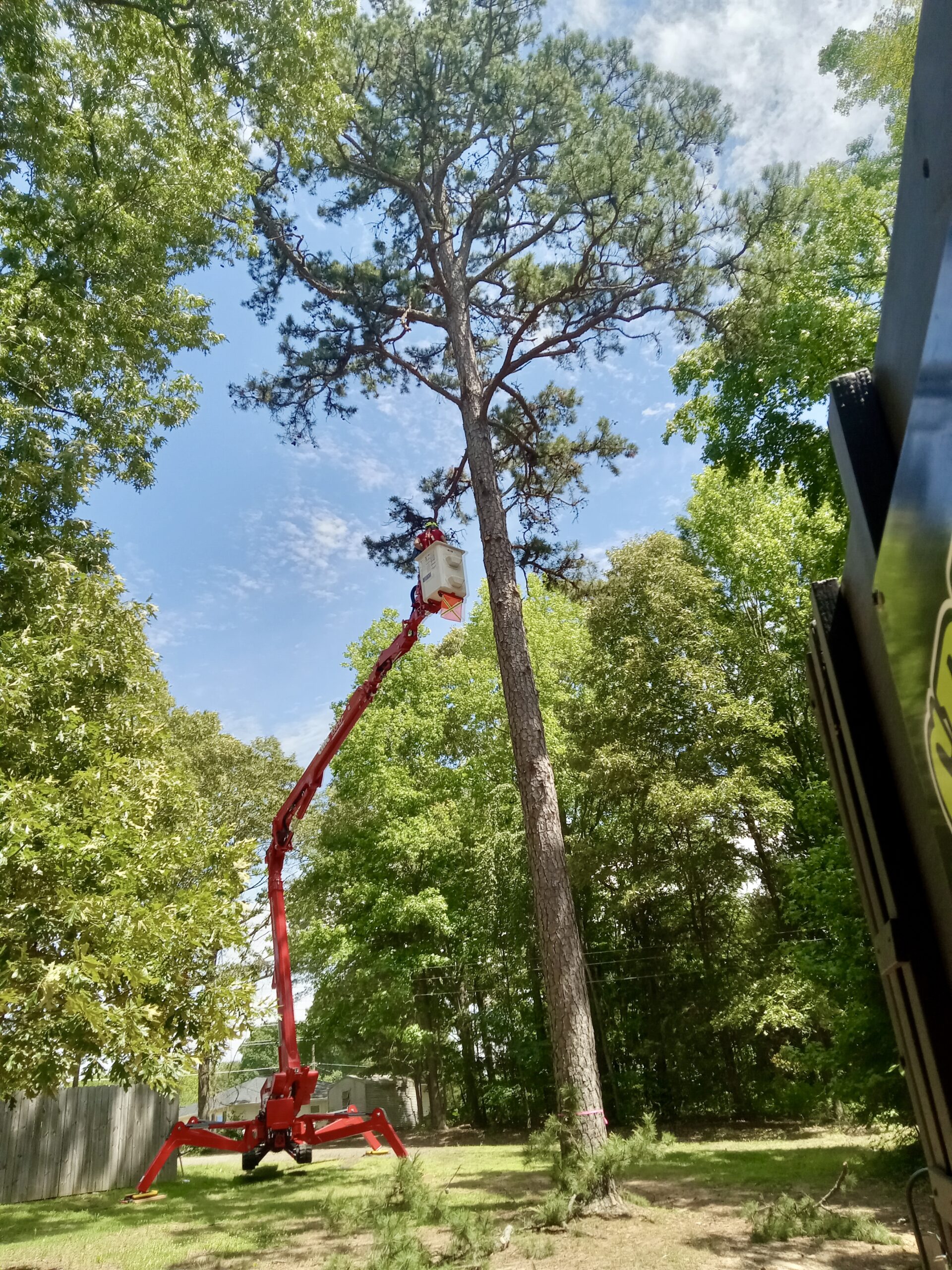 a crew from spencer's tree service takes down an overgrown tree limb in Mooresville, NC