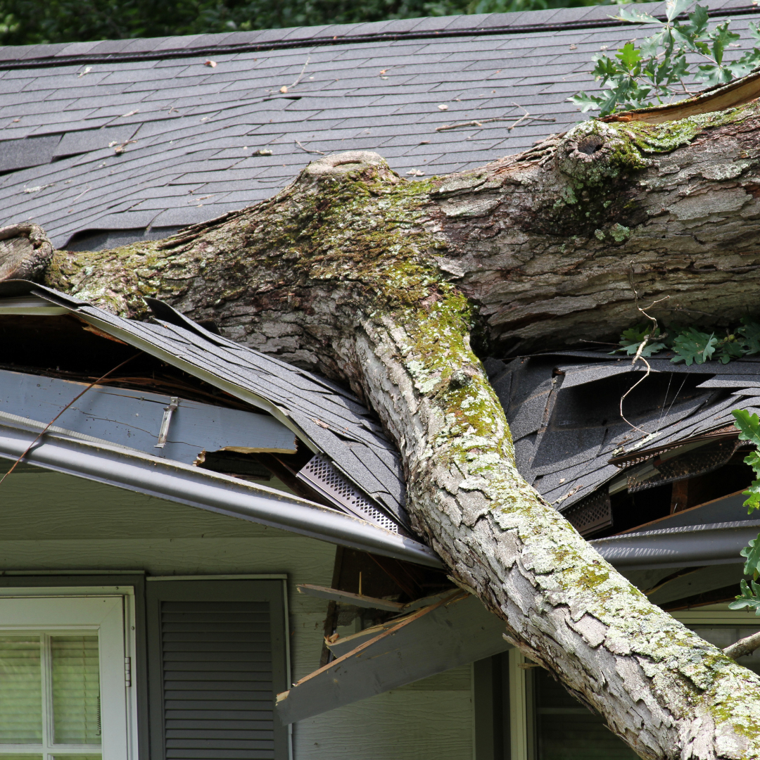 Tree branch fallen on a house during a storm